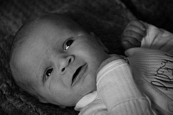 Newborn baby photography